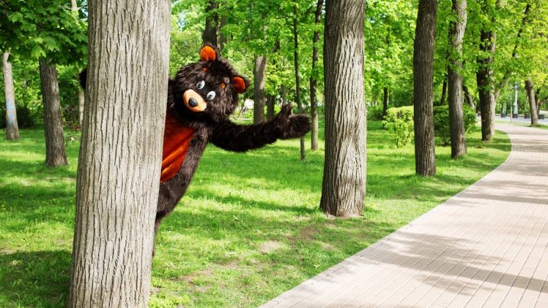 RCIS BearMan